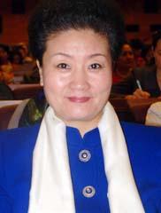 全国宣传文化系统十八大代表刘丽娟简历