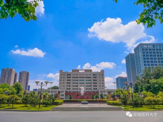 安徽医科大学2020高考录取通知书出炉,全新改版升级!