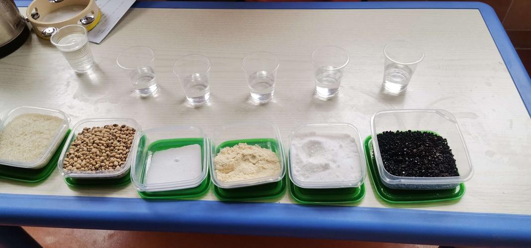 科学实验:水的溶解