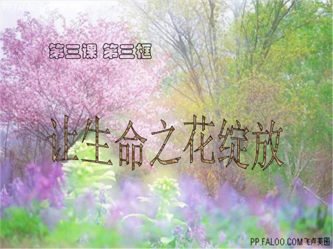 让生命之花绽放.525.ppt
