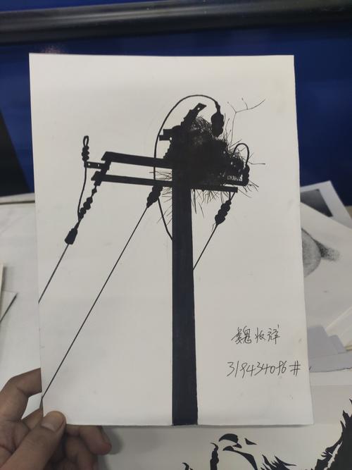 19级平面专业黑白画作业汇总!
