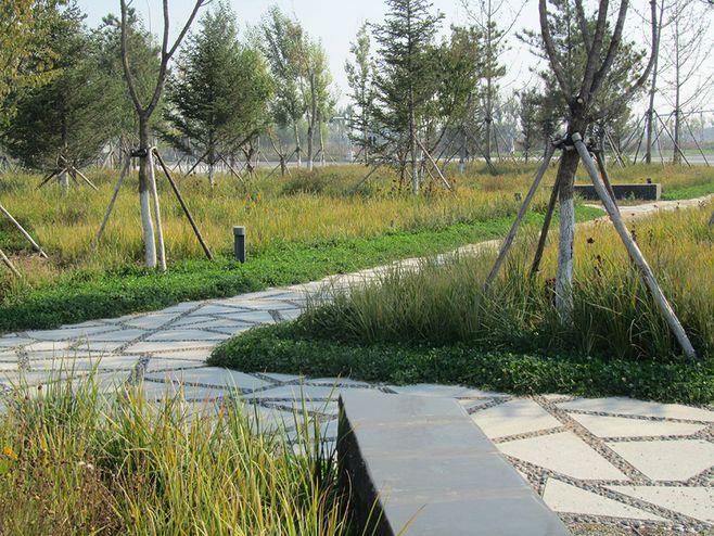 公园步行道 main axis hunnan, shenyang / niek roozen - 谷德设计网