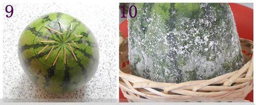 怎么自制西瓜霜?