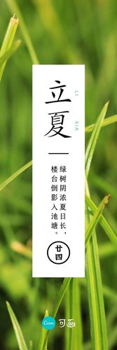 绿色草丛立夏节气照片中文书签