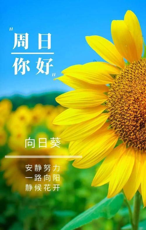 走过千山万水,还是当下最美;越过繁华喧闹,还是简单最好.