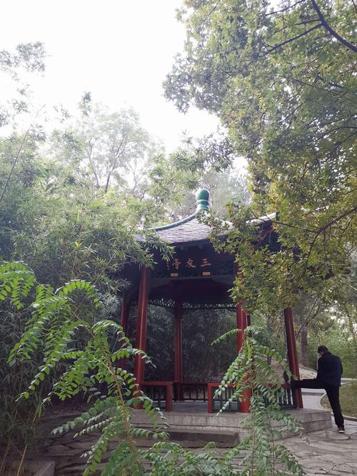 紫竹院公园的亭台楼榭桥