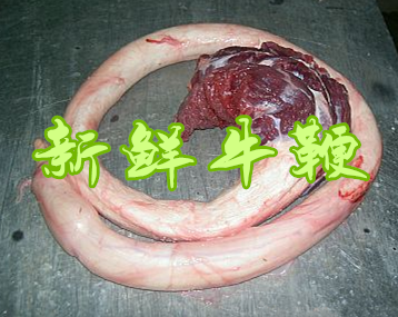 黄牛鞭牛宝牛蛋即食酱卤熟牛鞭牛肉新鲜睾丸火锅食材男用大爱免邮