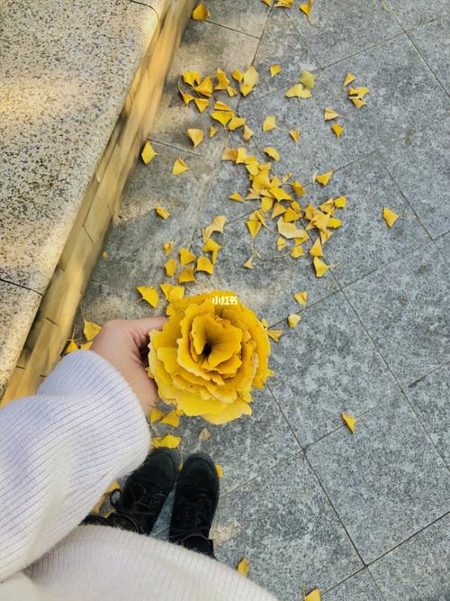 银杏叶玫瑰花94_银杏_玫瑰花_银杏叶玫瑰_家居家装