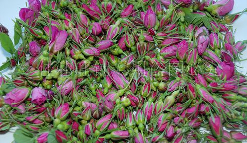 特别香浓 东北野生小兴安岭(小颗粒)玫瑰 野玫瑰 刺玫果 干花茶
