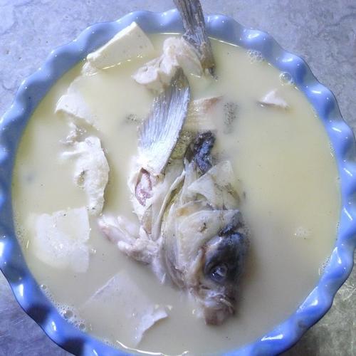 家常鱼汤