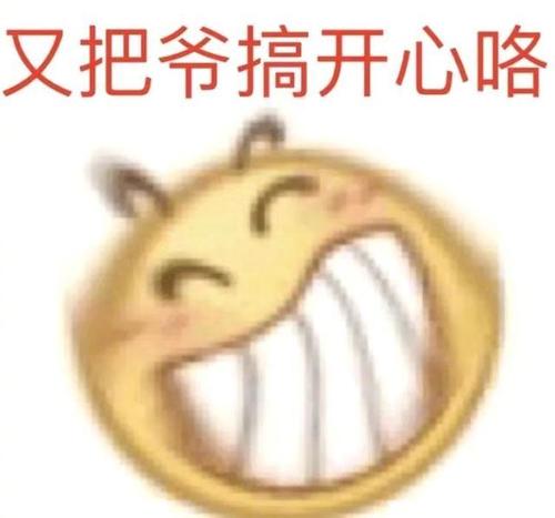 表情包:直视我,崽种