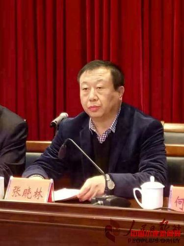 新当选会长张晓林.