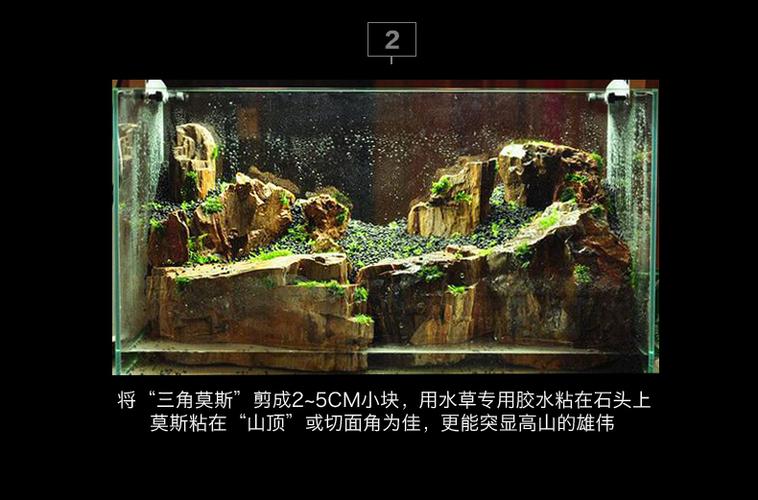 鱼缸造景石头黄金木化石树化石木纹石水族箱装饰水草缸造景石化木