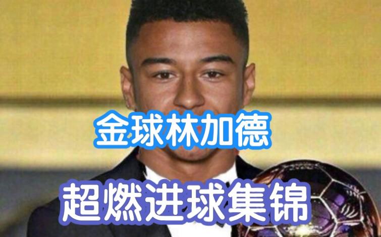 1080p超清你的林皇林加德百佳进球集锦