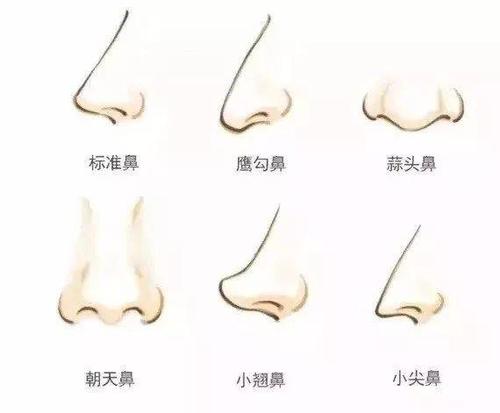 同样也是微调过的新垣结衣就保留了自己鼻子的特色,侧面看山根微微