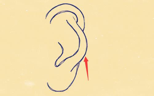 五种耳相穷不了,越老越招财,能富四代人!_面相