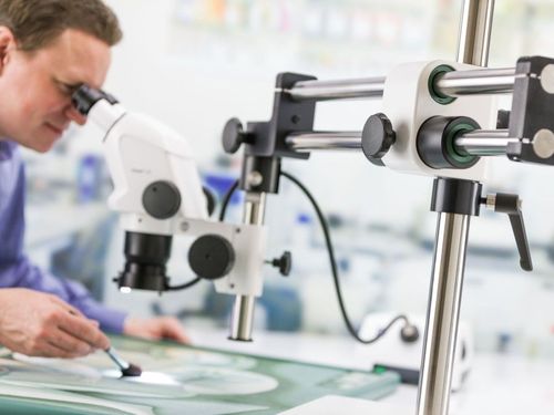 蔡司体式显微镜