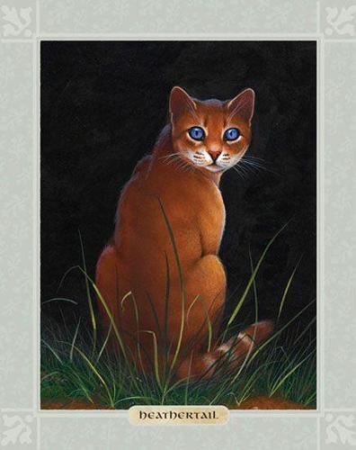 石楠尾是《猫武士》中登场的角色,一只漂亮的亮棕色虎斑风族母猫,有一