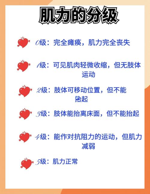护士必备:肌力分级详解�