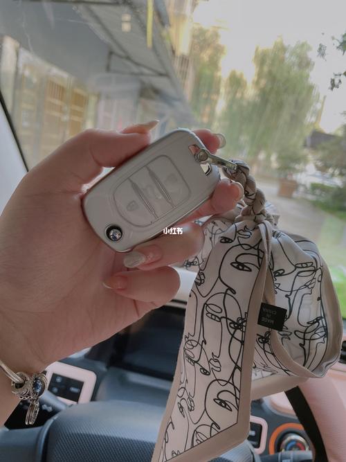 钥匙软包_五菱宏光mini_五菱怎么样_五菱宏光miniev_汽车_汽车装饰
