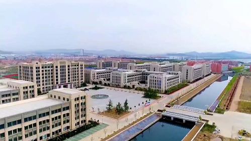 即墨中小企业协会电商基地 落户德科云创智能科技产业