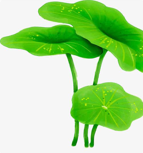 手绘荷叶植物元素