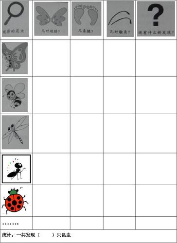 中班昆虫表记录表