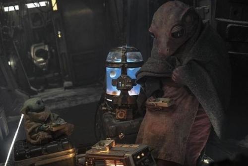 从《曼达洛人》中的青蛙女士到现实中的太空蛙