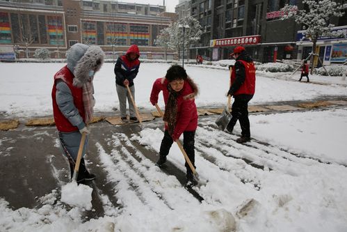 社区居民融雪防冻齐参与 小朋友也是扫雪小能手