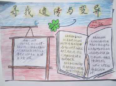 关于遗传变异的手抄报