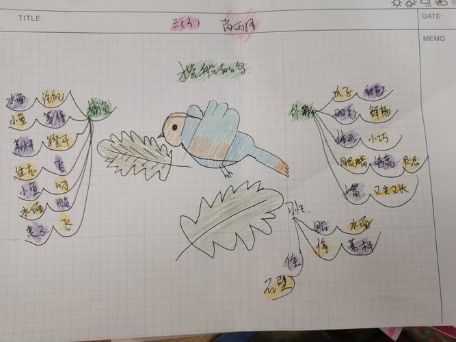 《搭船的鸟》——三(3)班思维导图展