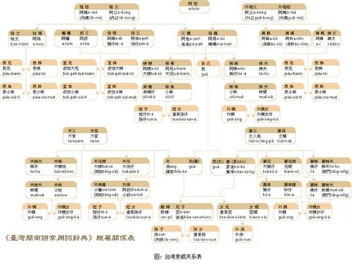 中国亲戚关系和社会关系图