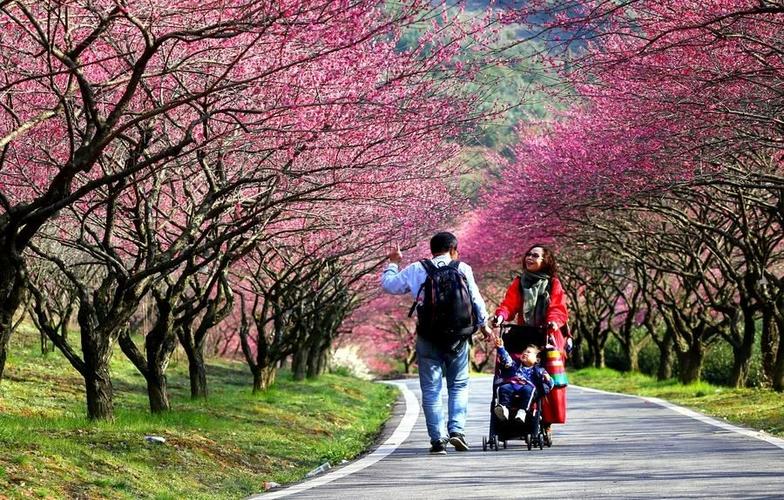 3月21日(星期四)长兴东方梅园花溪谷 一日游户外自助游不进店不购物