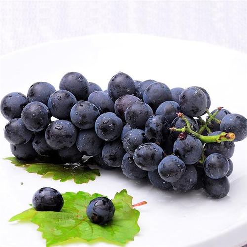 黑珍珠葡萄图片