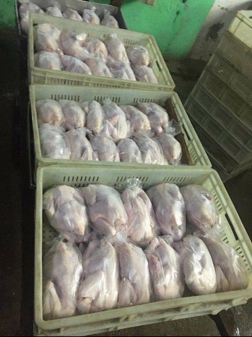 [白条鸡批发] 白条鸡价格108元/箱 - 惠农网