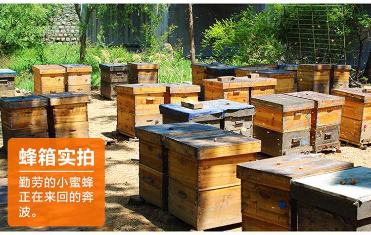 蜂王浆 原生态养蜂场天然蜂皇浆500g瓶装 鲜质原浆蜂皇浆批发