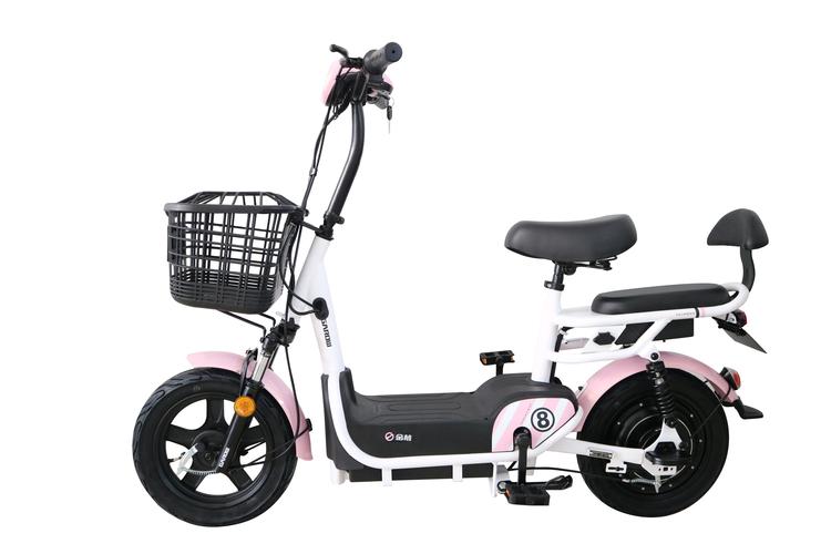 金箭电动新款简易男女小型自行车电动车国标新国标