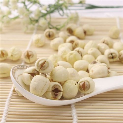 莲子图片