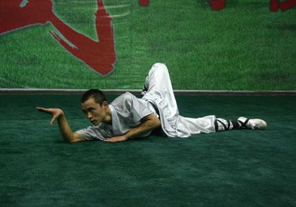 蛇拳