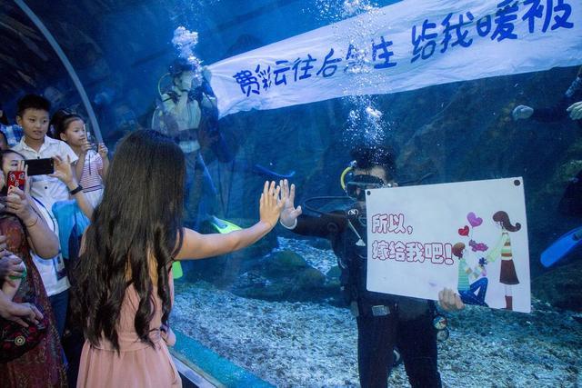 这天在武汉海昌极地海洋公园的海底两万里进行了一场浪漫梦幻的水下