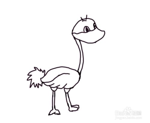怎么画儿童彩色简笔画卡通动物鸵鸟?