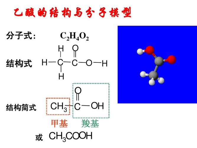 高一化学必修2_生活中两种常见的有机物之-乙酸ppt  乙酸的结构与分子