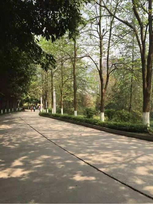 毕业季再见了涪陵五中