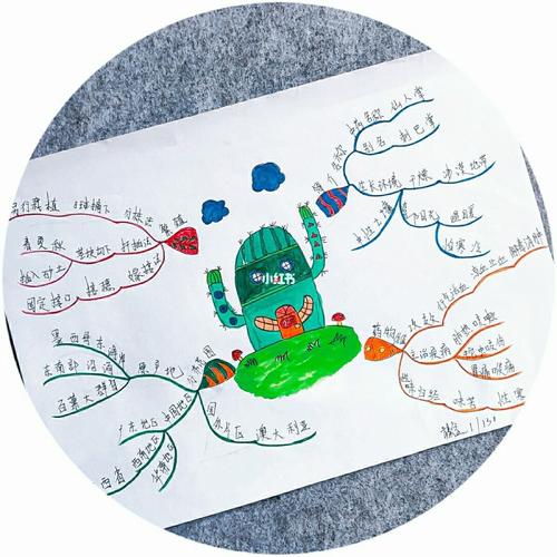 展示篇6015自由主题创作思维导图5_仙人掌_手绘_手绘思维导图