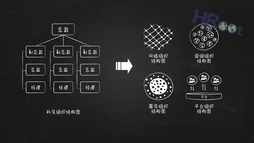 蚂蚁之所以有充分的适应能力,是因为其网状组织结构,这种结构能够自我