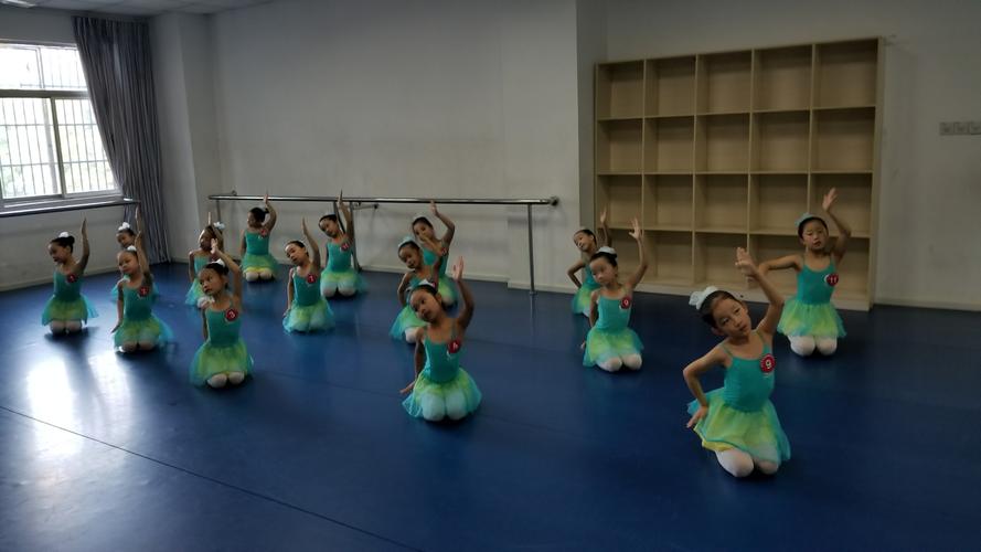 中国舞蹈家协会五星级会员单位--金华市春苗舞蹈教育中心中国舞考级