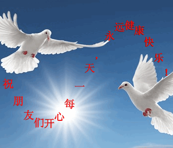 不是亲生的