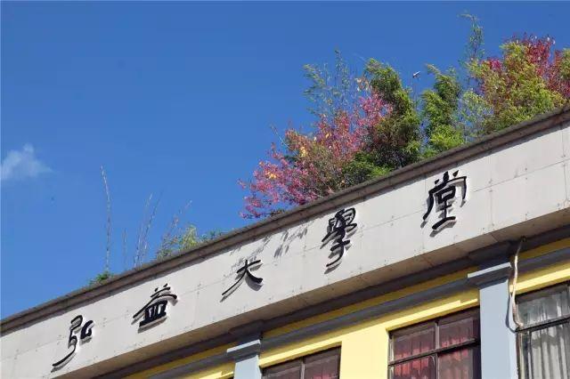 善意美好的工作机会,弘益大学堂2020年招聘