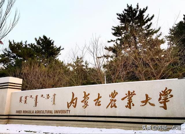 王海荣女内蒙古农业大学副教授动物营养与肠道微生物专家
