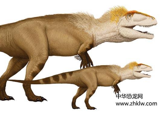 假鲨齿龙亚洲的白垩纪肉食恐龙